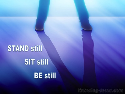 Stand Still, Sit Still, Be Still